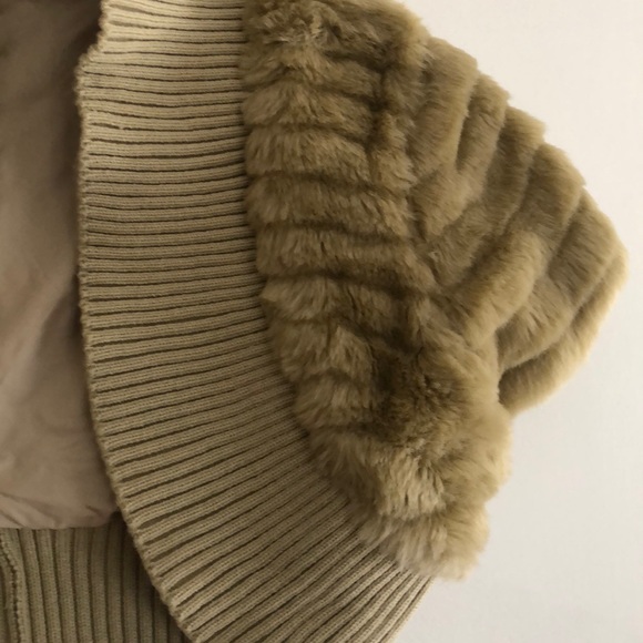 Jacket - Picture 3 of 5